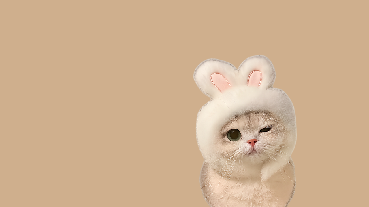 Placeholder image of a cat relaxing